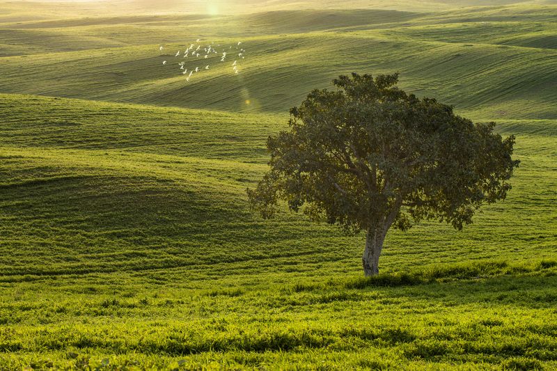 Битронот Рухама фото превью