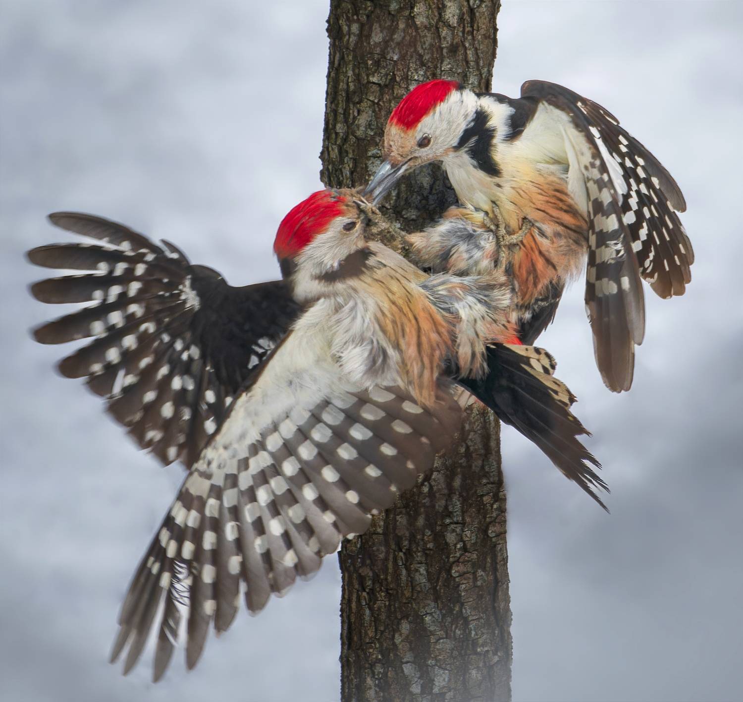 , Фото Александр