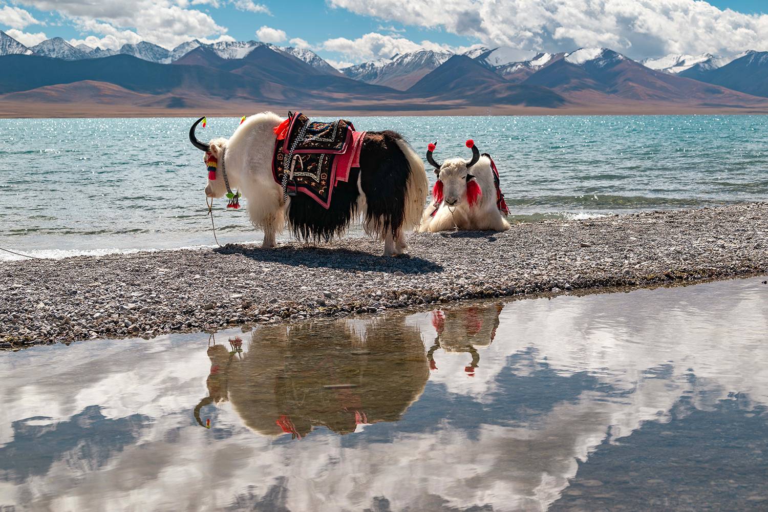 , Кирина Елизавета