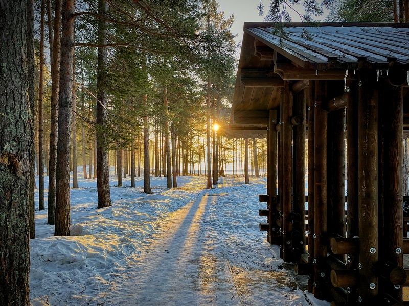 Утро в парке фото превью