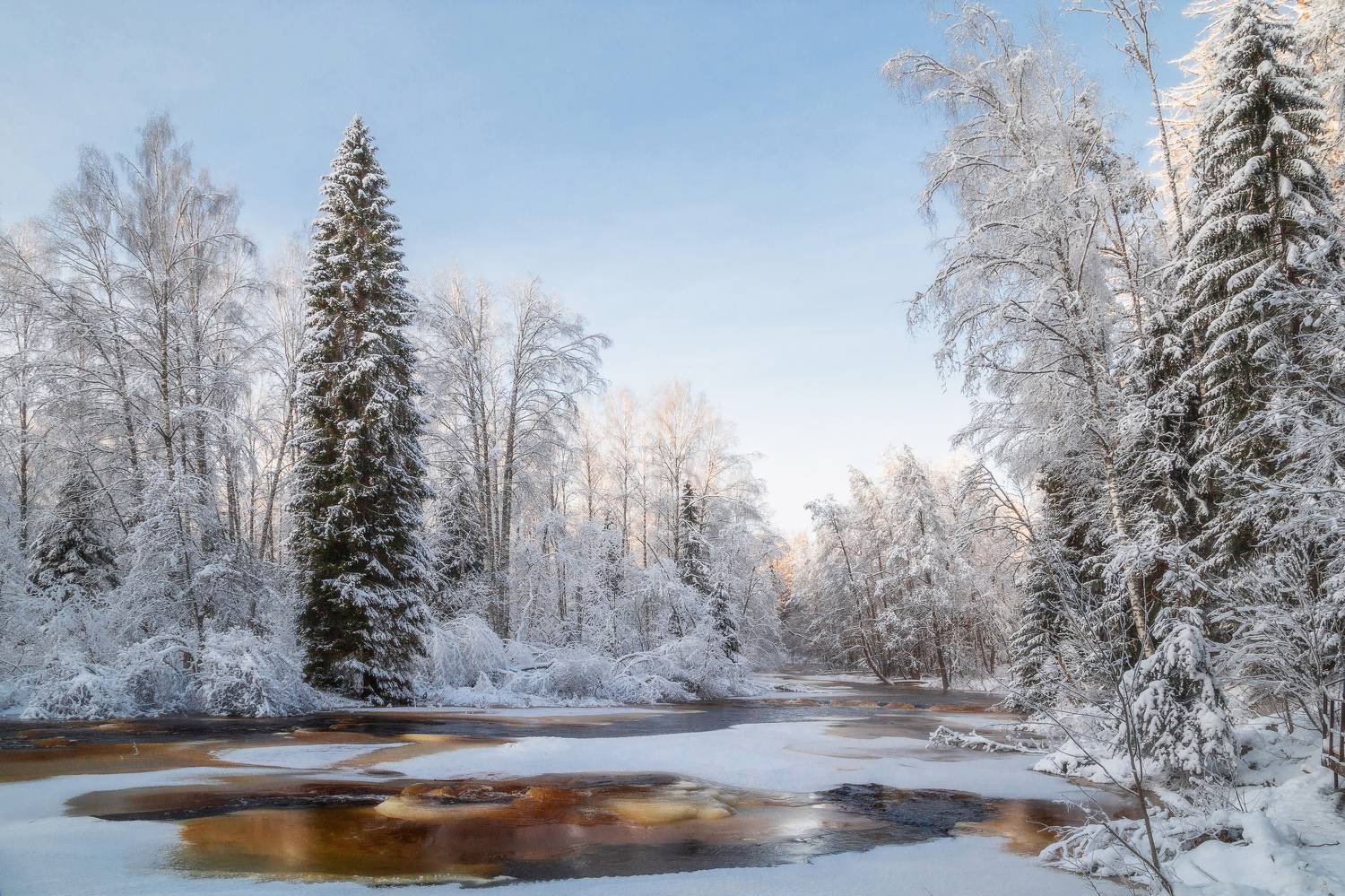 Линдуловская роща, Санкт-Петербург, Ленинградская область, природа России, Татьяна Кормашова