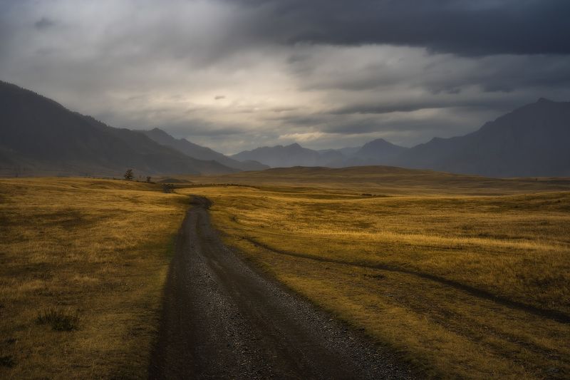 В дождь фото превью