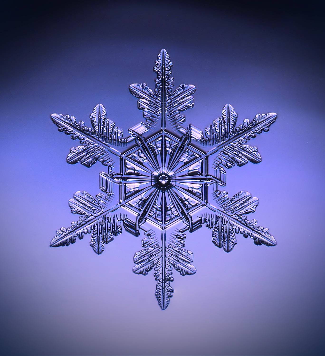 , Борис Риганов