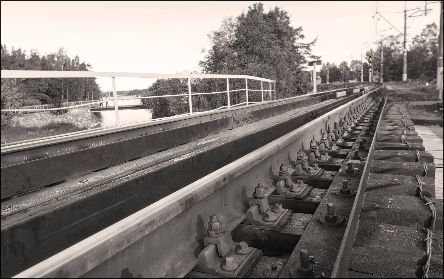 , Георгий Сапожников