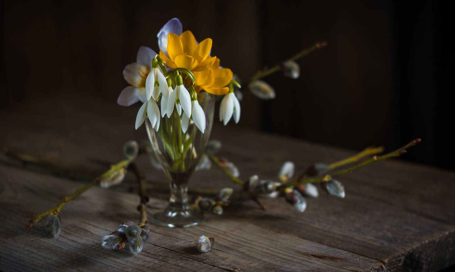 , Хвойнова Елена