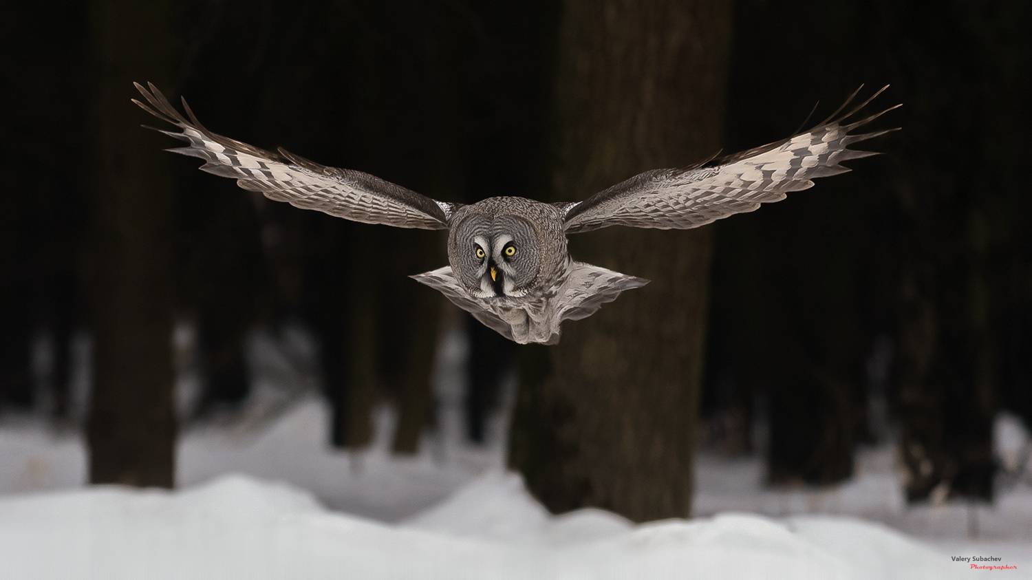 , Валерий Субачев