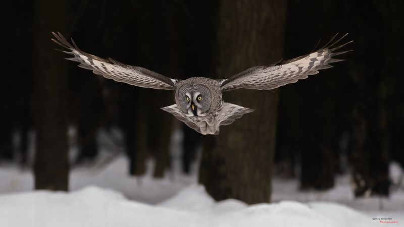 ... фото превью