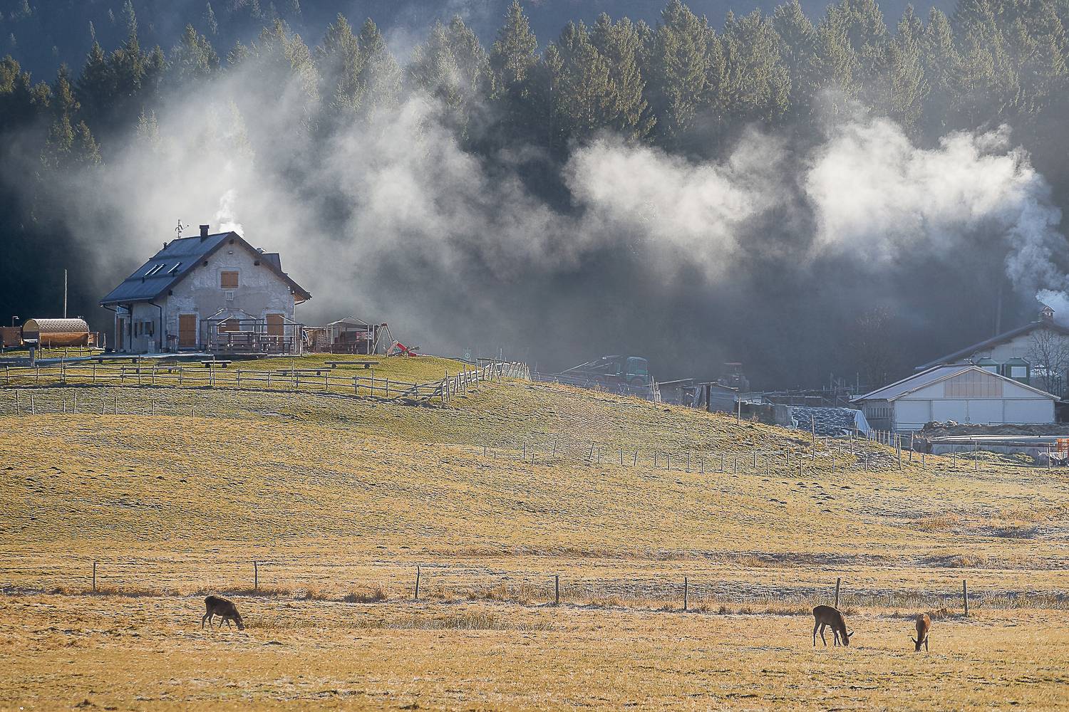 , Andrea Mazz&ugrave;