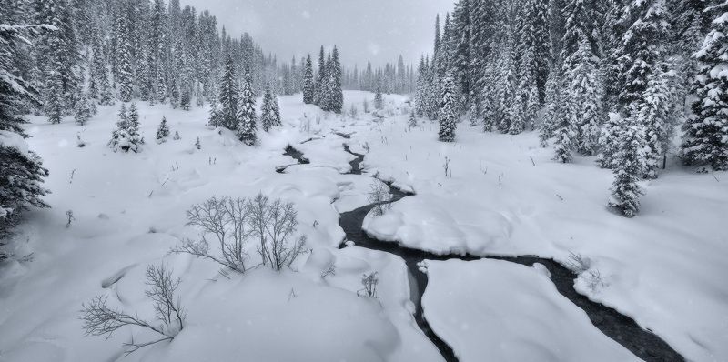 ергаки, саяны, сибирь, красноярский край, снег, елки, панорамы Панорамы Ергак фото превью