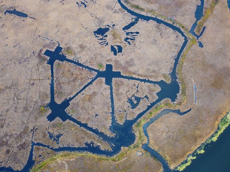 Автопортрет фото превью