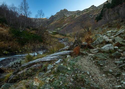 Октябрьское утро