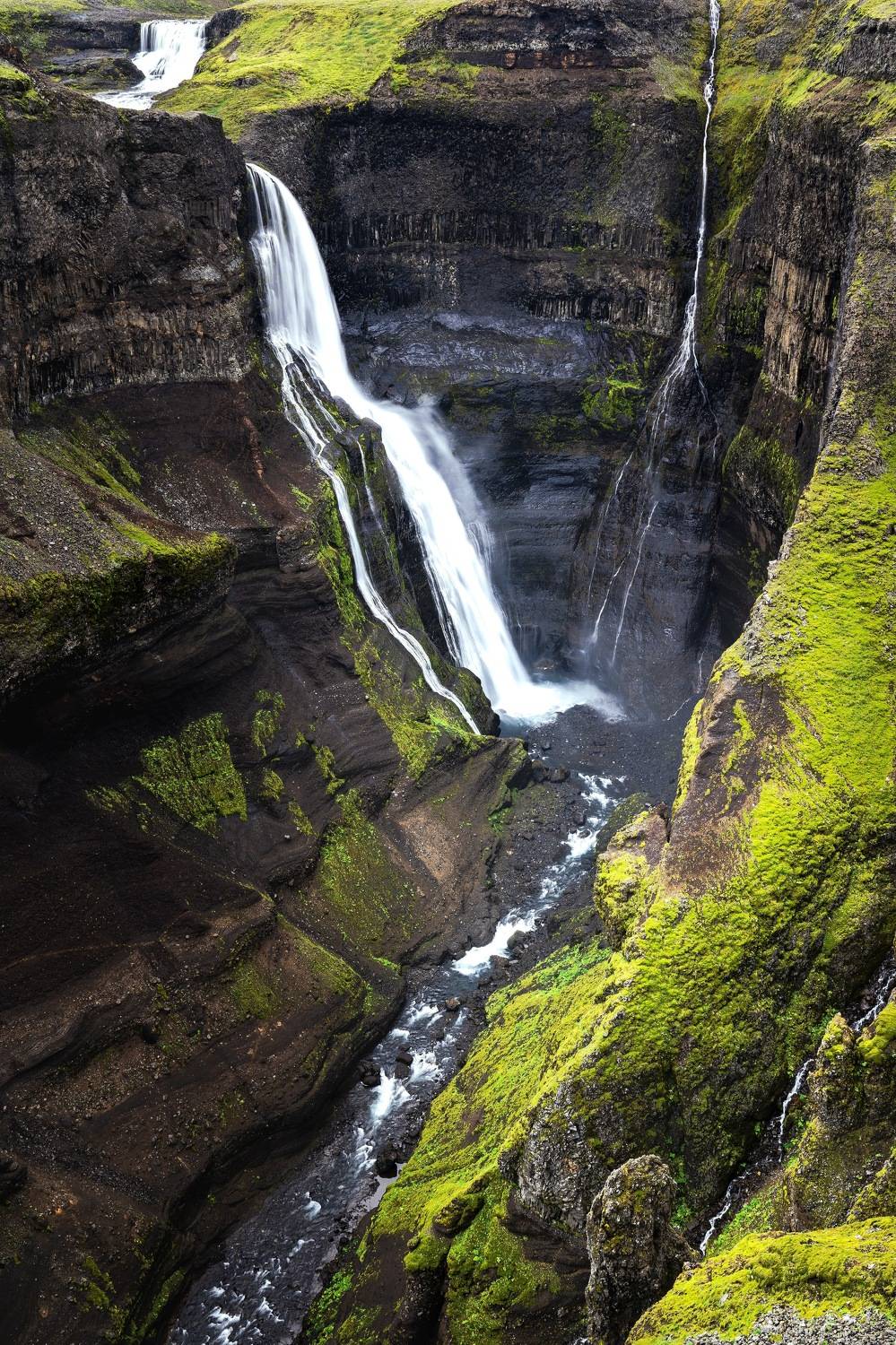 , Шимаковский Юрий