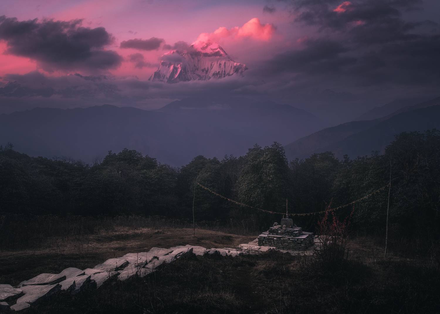 , Политова Анна