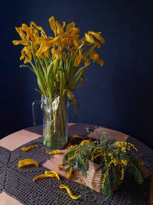 Цветы как люди... фото превью