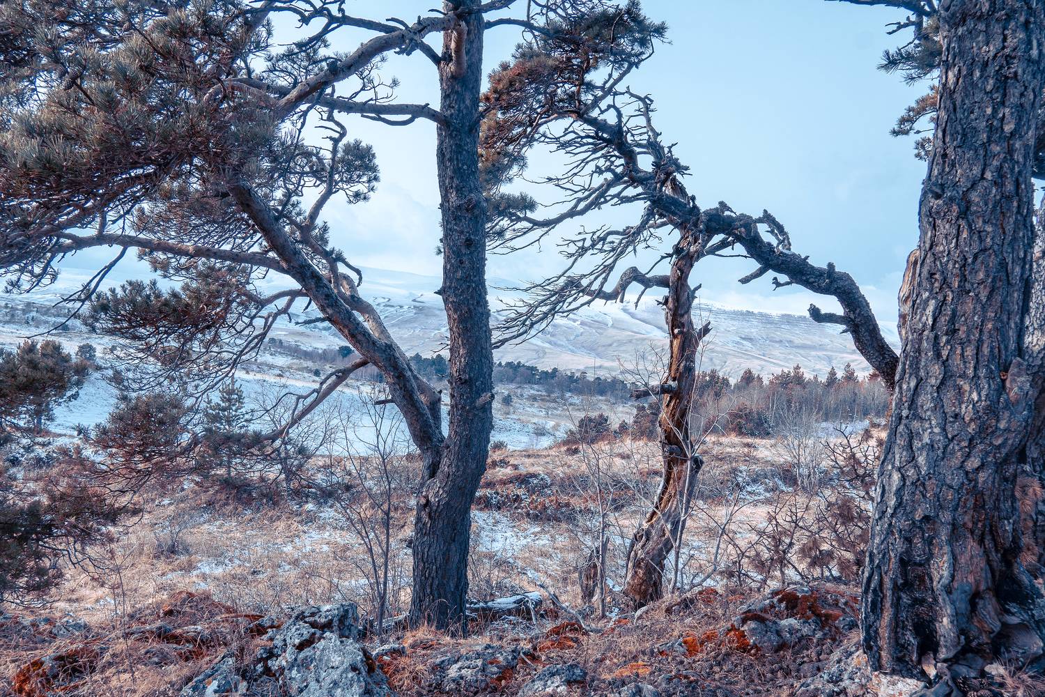 , Вадим Коваленко