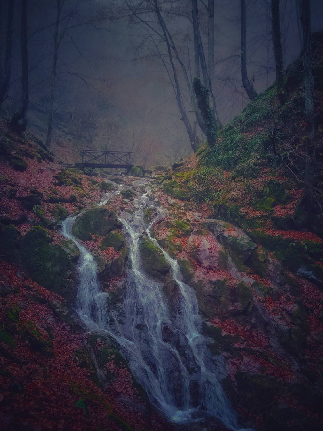 , Николов Андриян