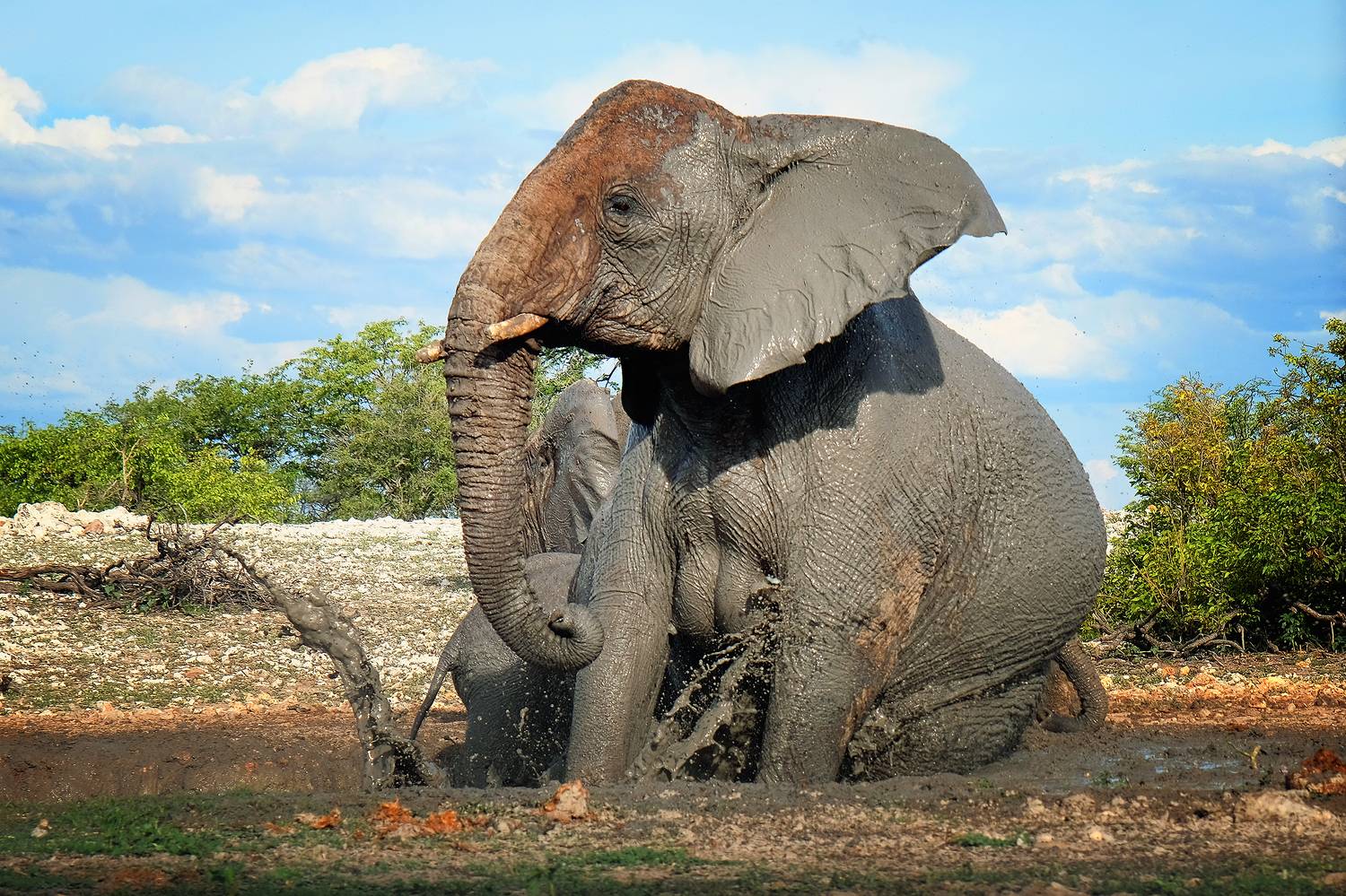 , Худзинская Ирина