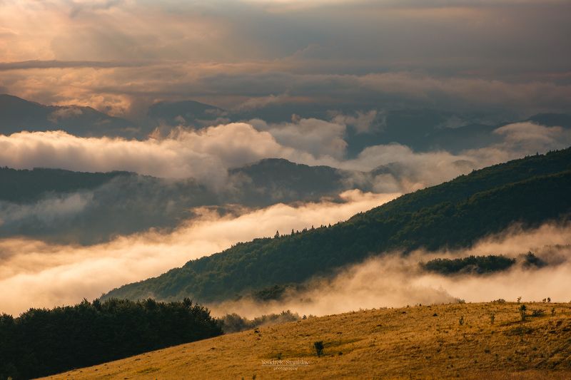 пейзаж, горы, лето, лес, туман, карпаты, landscape, mountains, summer, forest, fog, karpaty После летнего дождя фото превью