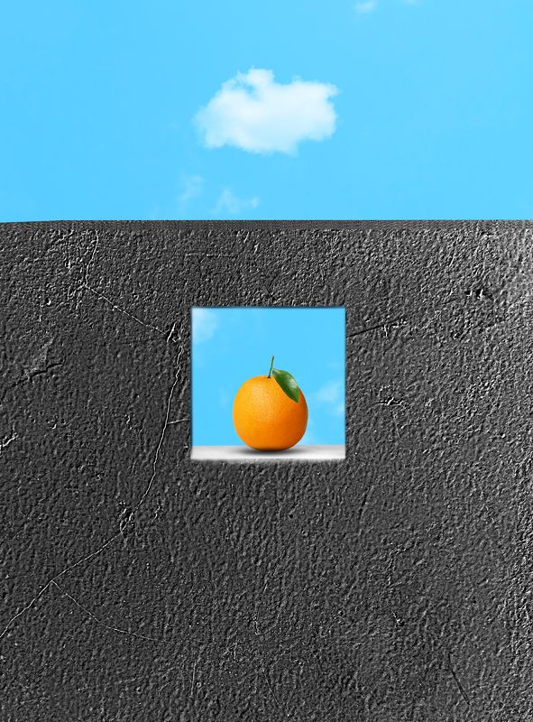 Symbiosis in Harmony фото превью