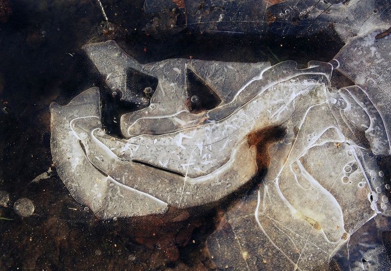 pareidolia Домовой. Парейдолия (замёрзшая лужа) фото превью