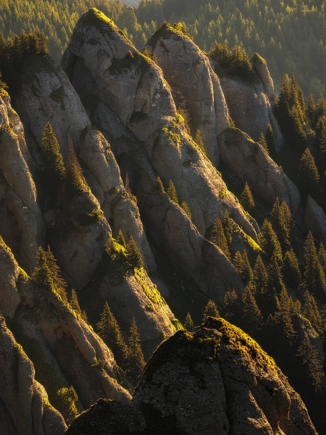 , Stefan Chirobocea