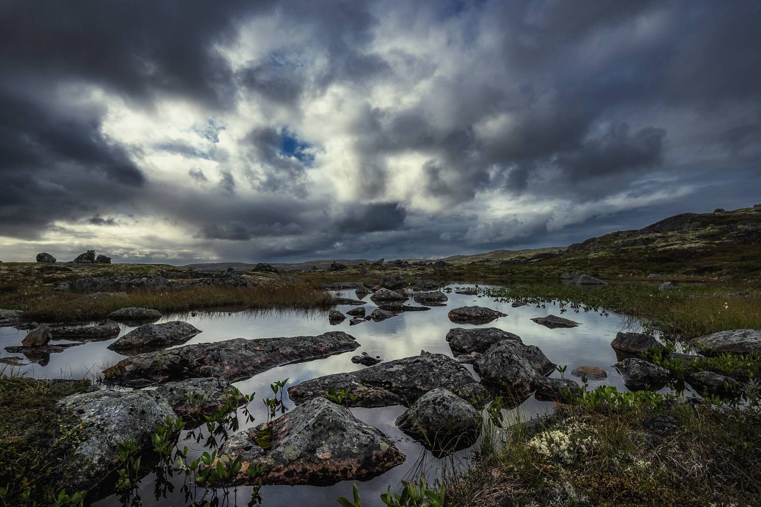 , Владимир Штыриков