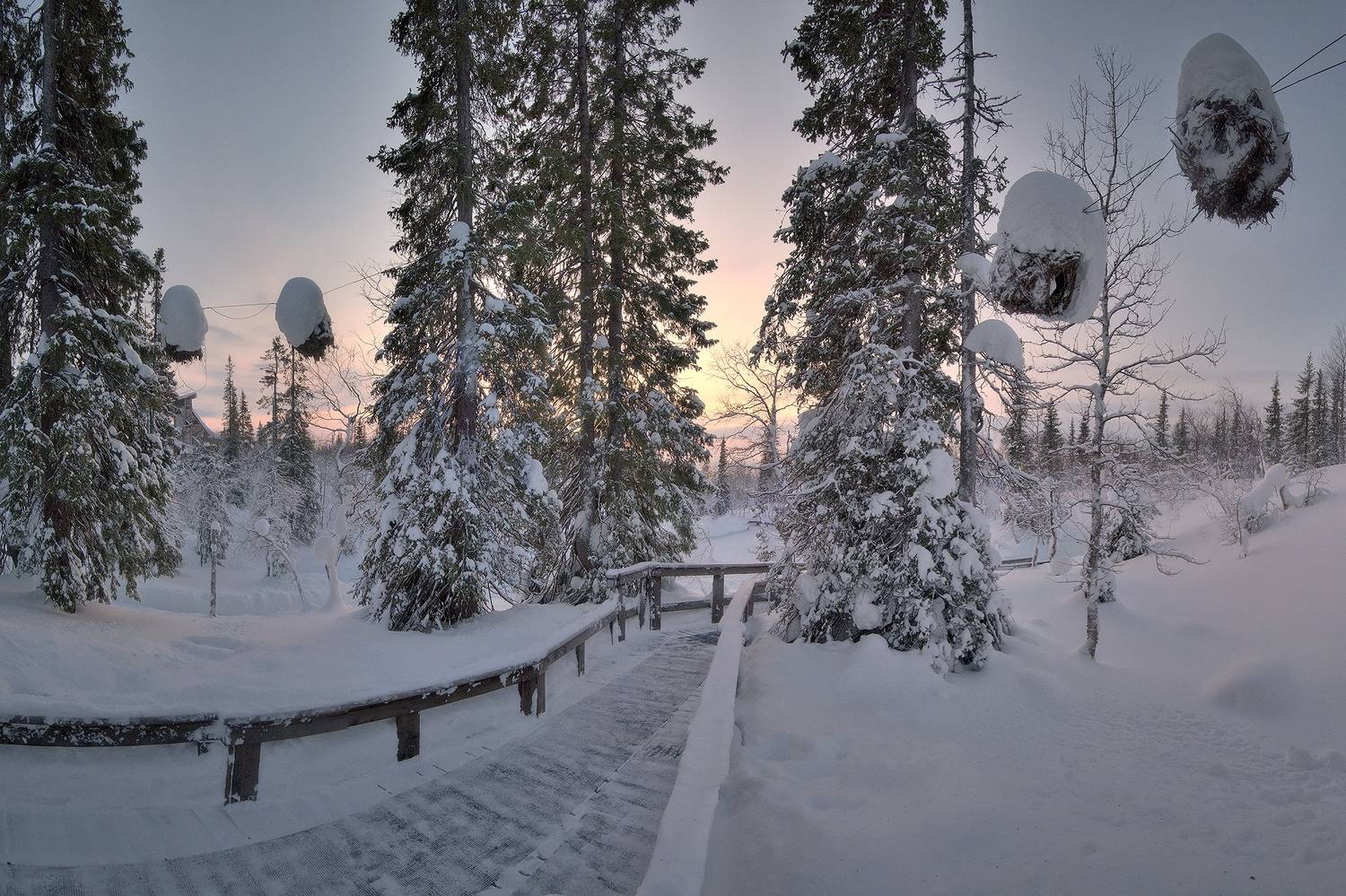 , Алексей Никонов