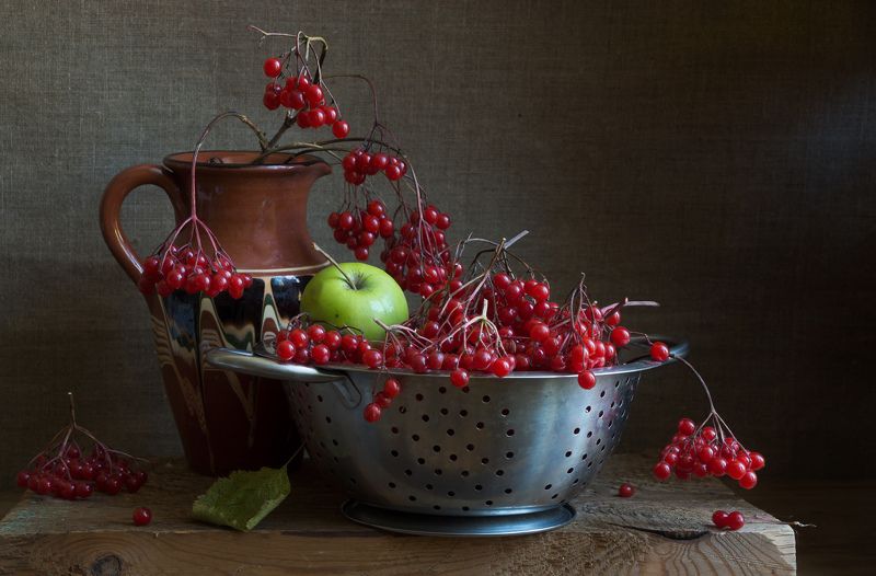 Калина фото превью