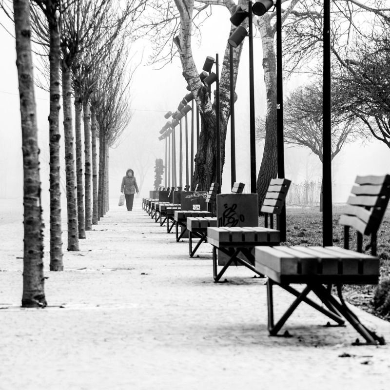 туман, речка, город, люди, прогулка, чайки, ритм Прогулка с туманом фото превью