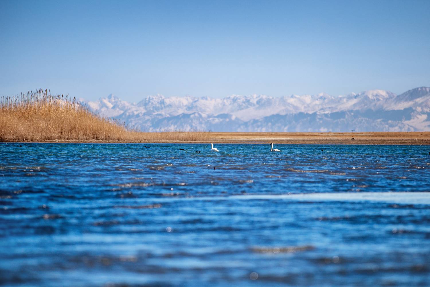 кыргызстан, иссык-куль, Элина Магалимова