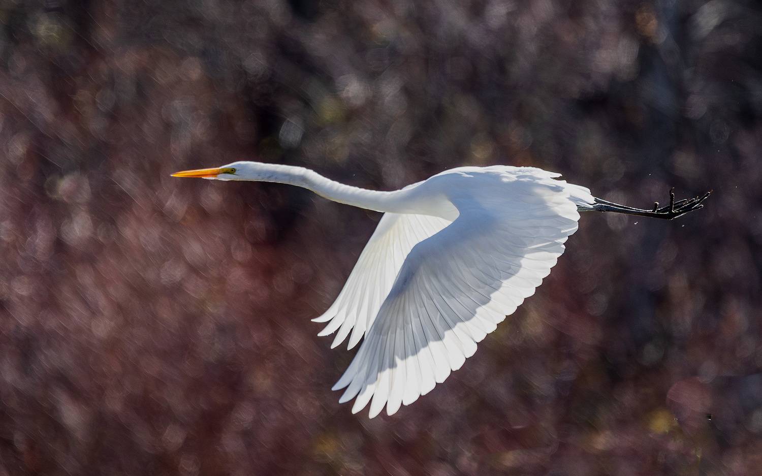 , Леонид Дьяченко