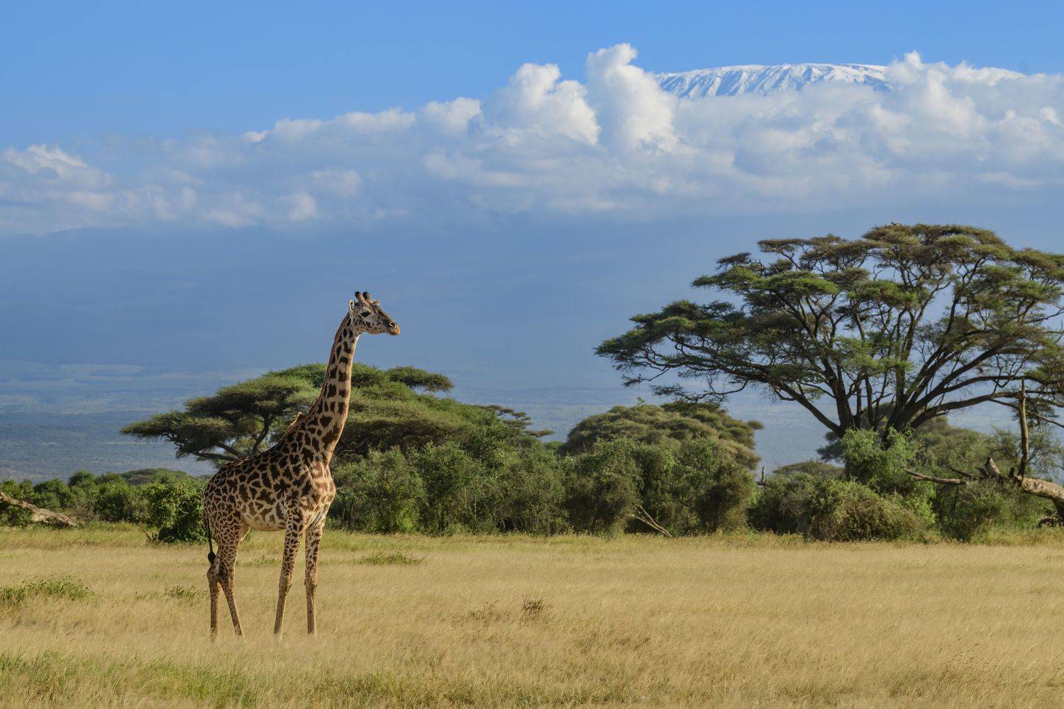 , Пупонин Сергей