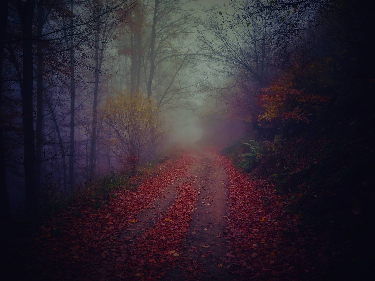 , Николов Андриян