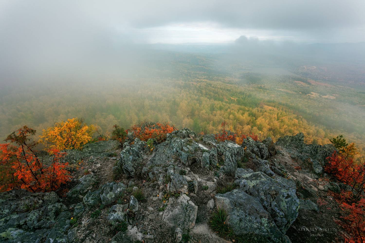 , Алексей Никитин