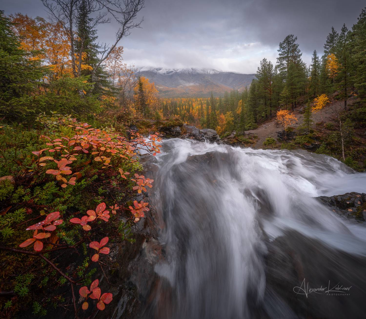 хибины, Александр Кукринов