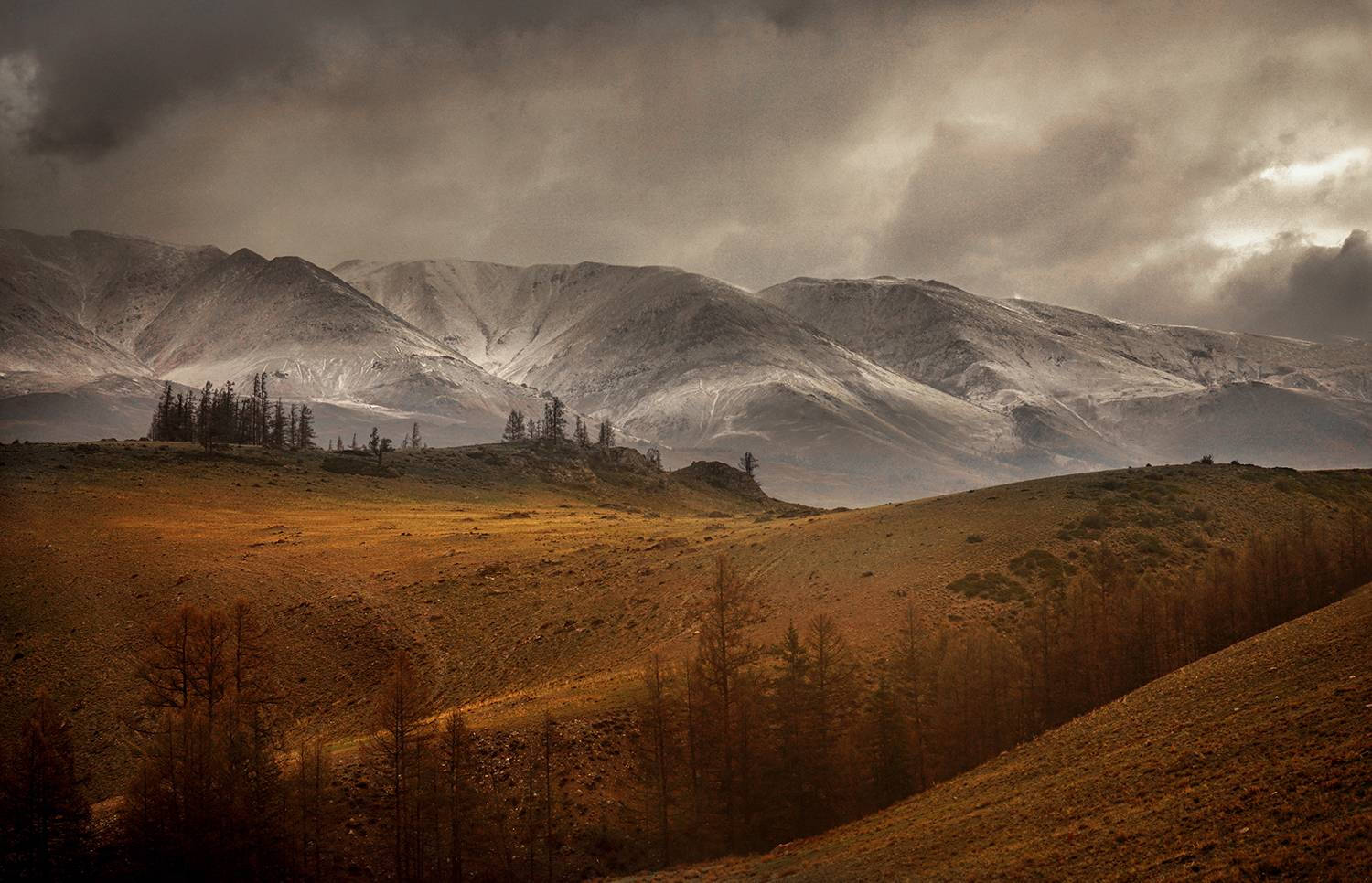 , Алексей Родак