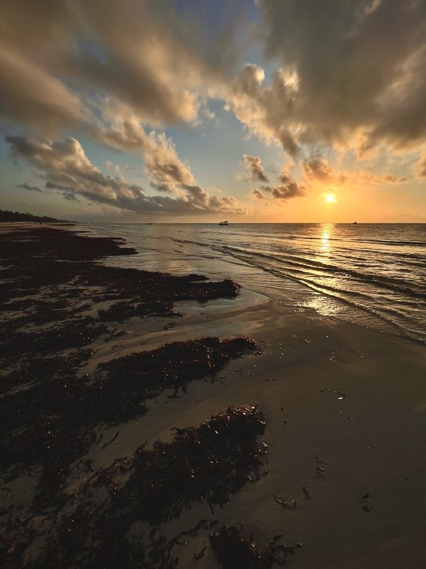 Diani Beach фото превью