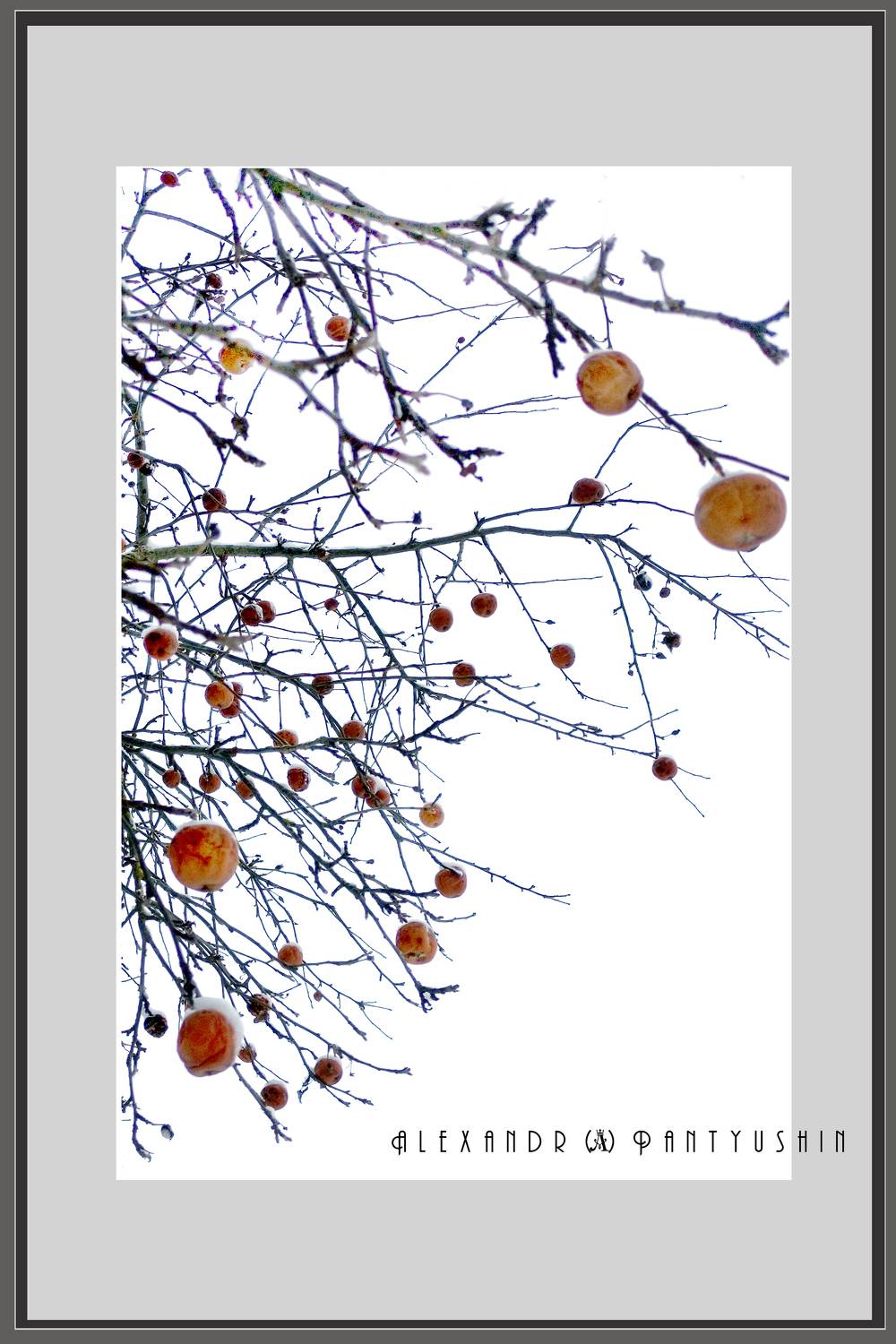 , Александр Пантюшин