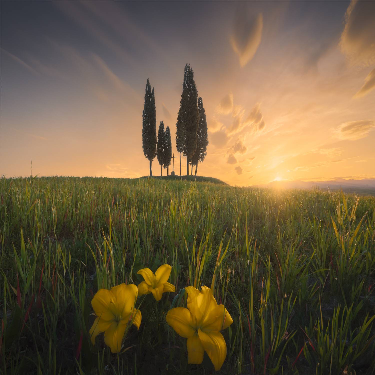 #tuscany #surise #nature #landscapes #travel, Francesco Porzioli
