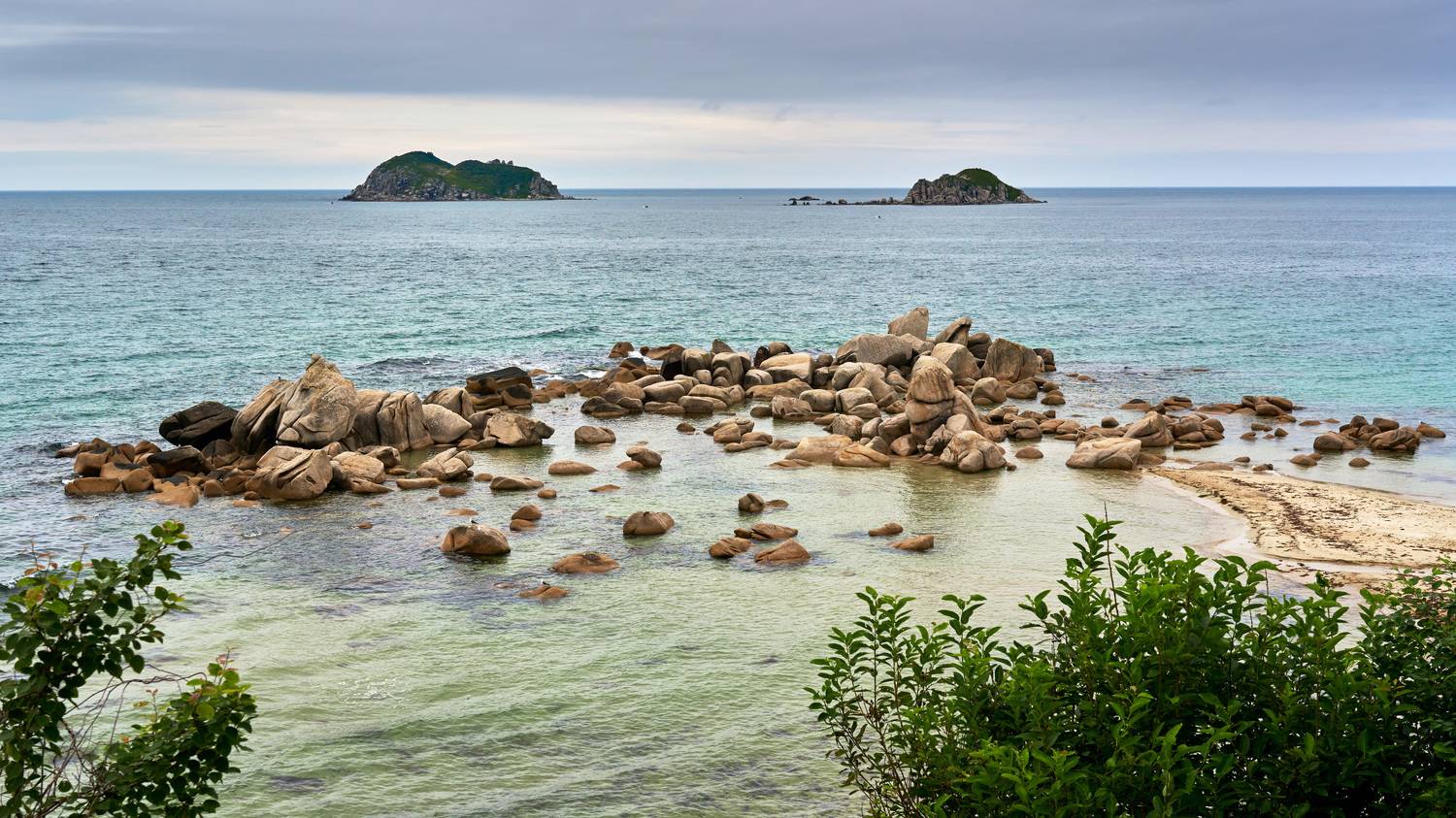 , Сергей Низовцев