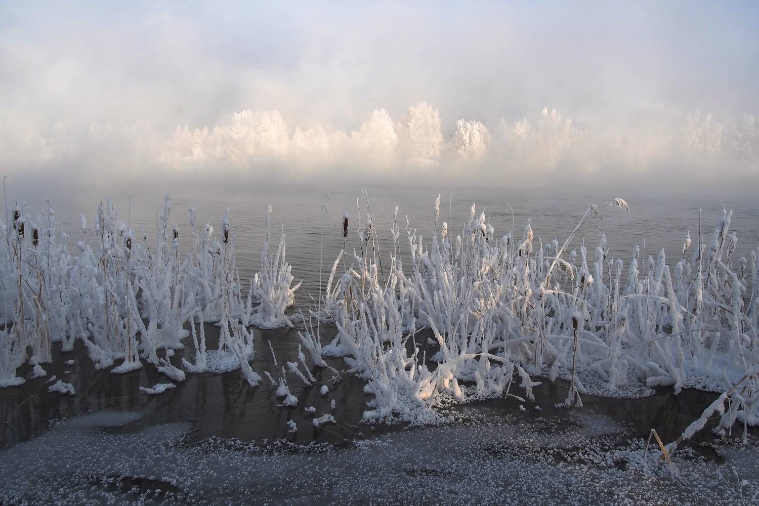 , Александр Попов