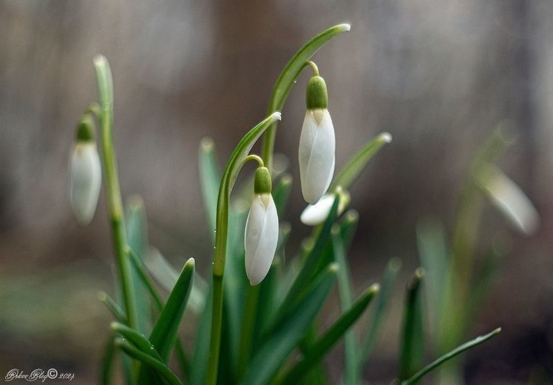 Время пришло... фото превью