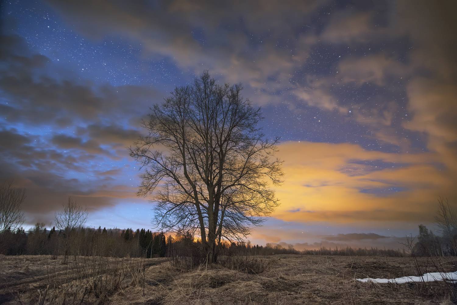 , Смольский Евгений