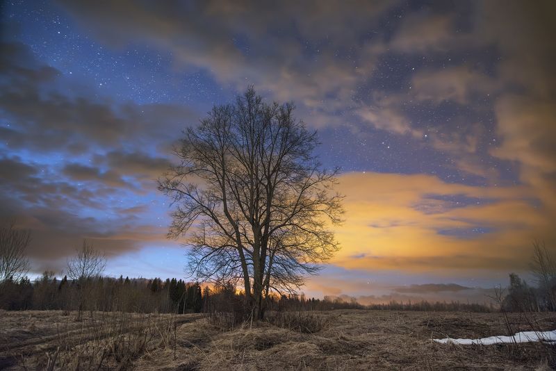 Весенная ночь фото превью