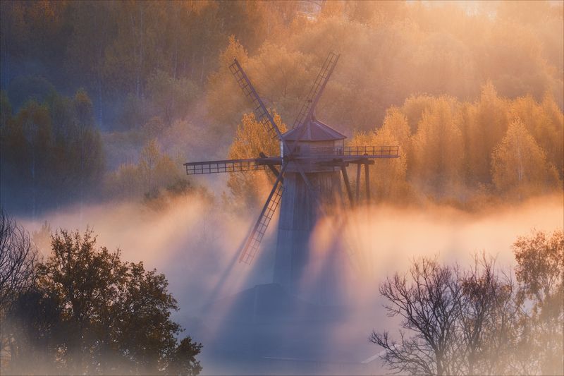 Рассвета золотые струны фото превью