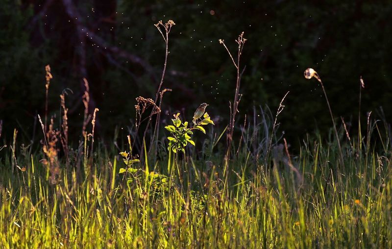 Dtxthjv/ фото превью