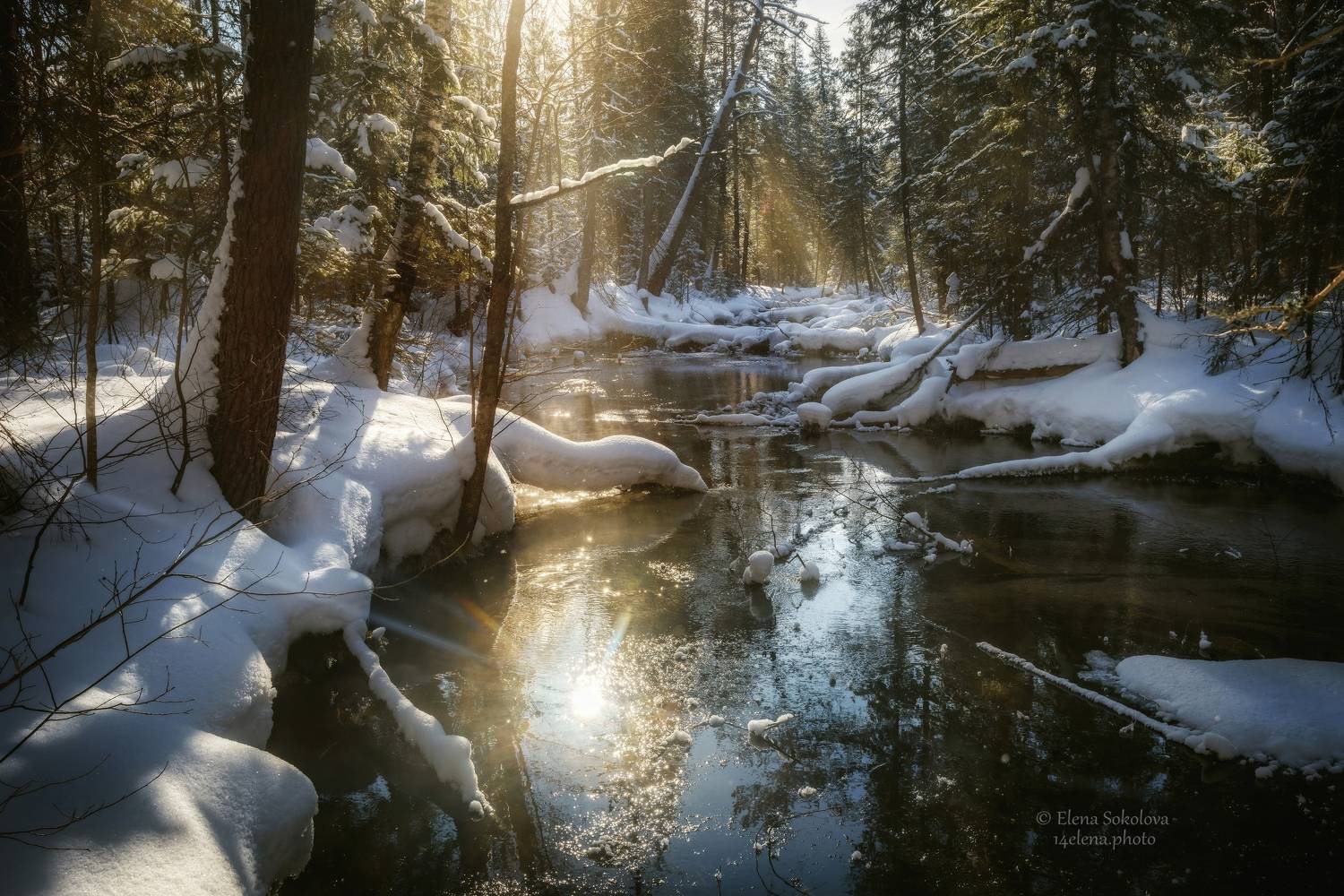 река, талица, вода, зима, весна, снег, лес, тайга, пермский край, жуланово, Соколова Елена