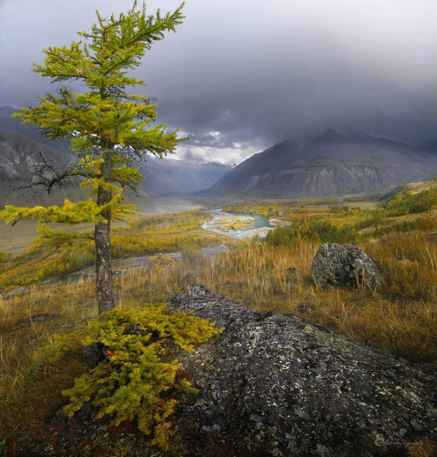 , Светлана Крат