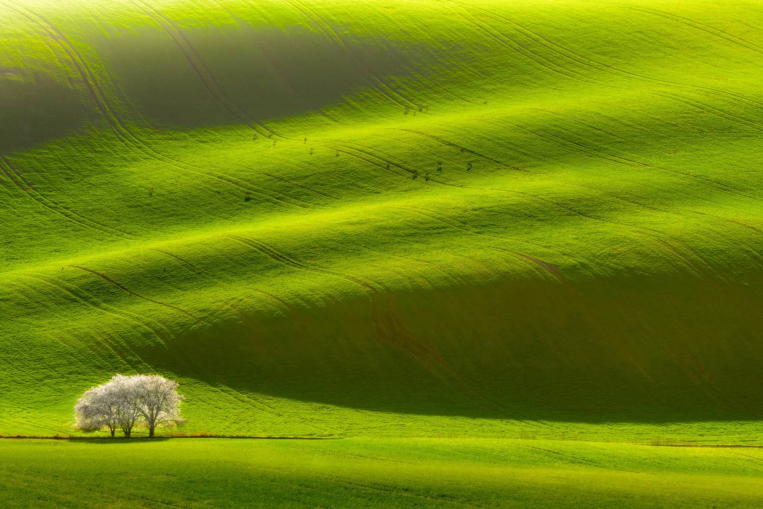 moravia, spring, tuscony, toscana, czech, landscape, Stanislav Judas
