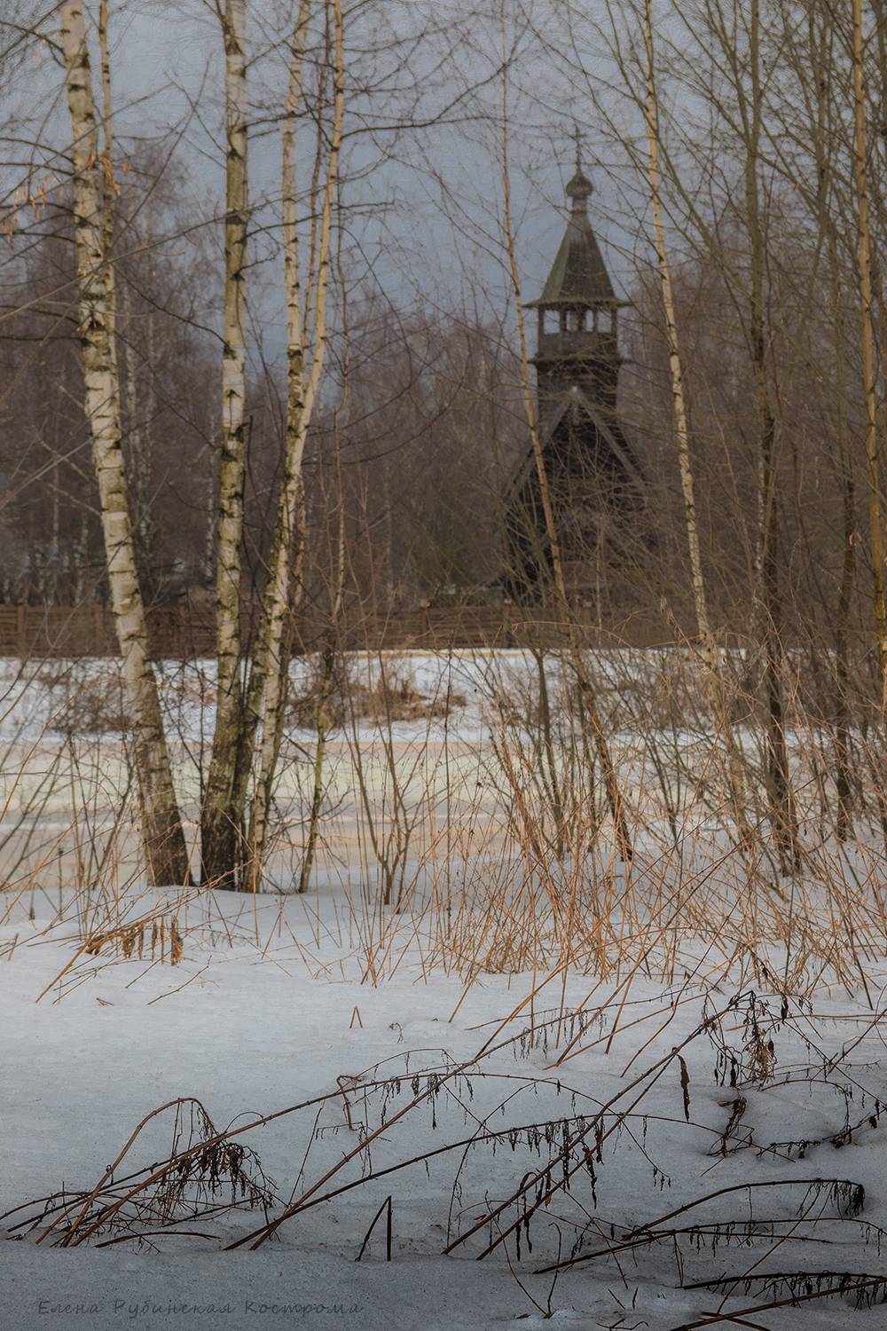 , Елена Рубинская